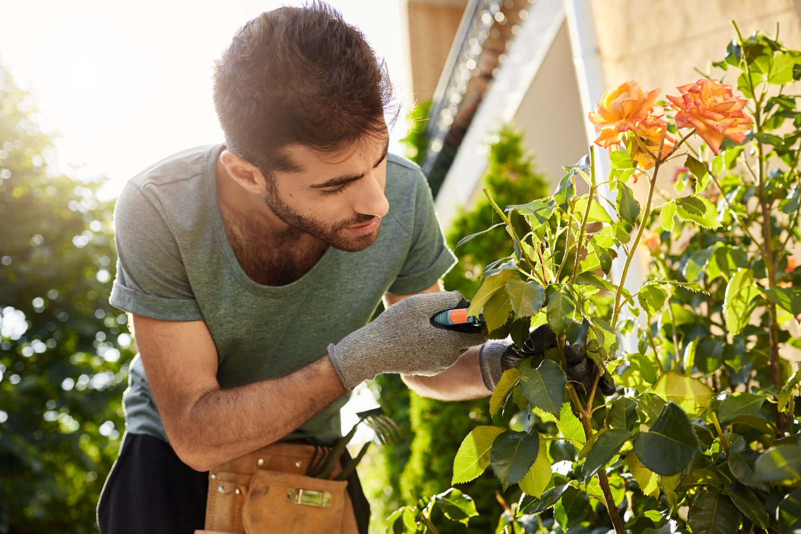 Close up of beautiful bearded florist in blue t-shirt with garden tools cutting dead flowers, spending summer morning in countryside house